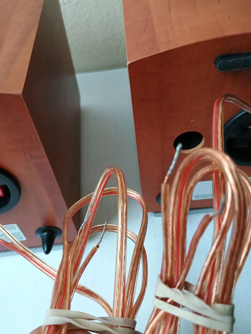 Sony SS-CEX100 Woodengrain Bookshelf Speakers Set Of 2